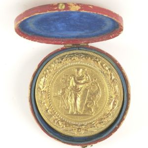 gouden medaille 8698.jpg